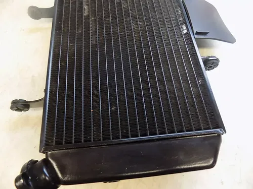 Suzuki VStrom OEM Radiator  V strom 650 2009 low mile
