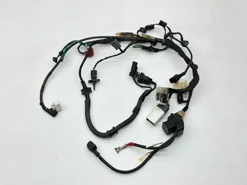 2023 Honda CRF250R Wiring Harness Electrical Main Engine Loom OEM 32100-K95-AA0
