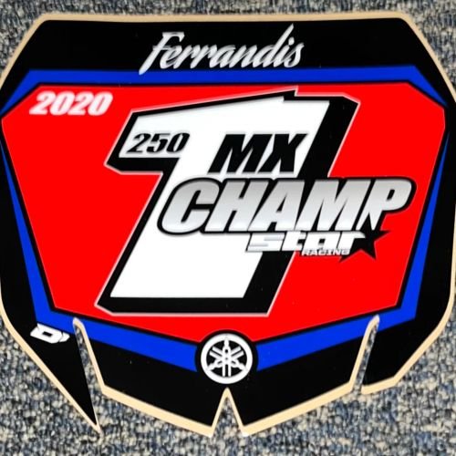 Dylan Ferrandis 2020 250 MX Champ Front Number Plate Decal