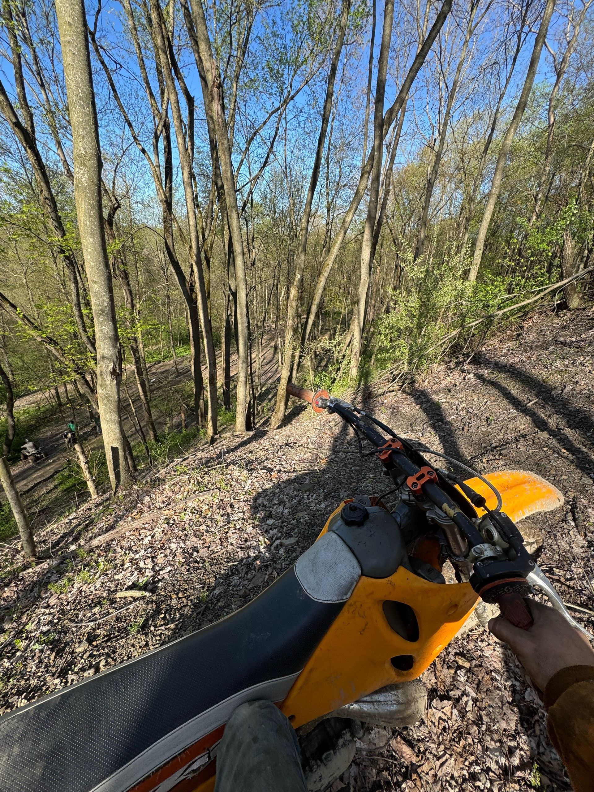 Yamahabanshee66