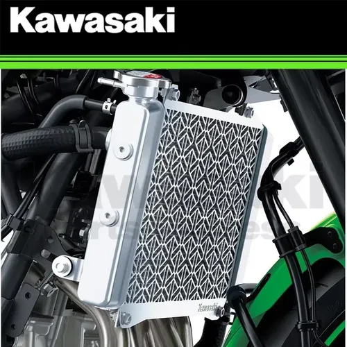 NEW 2023-2024 GENUINE OEM KAWASAKI NINJA ZX4R 4RR RADIATOR SCREEN 99994-1887