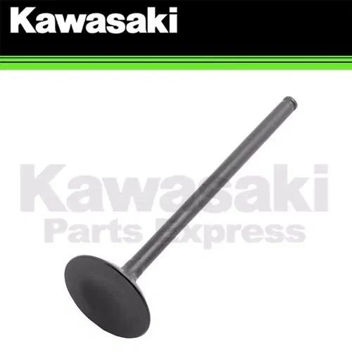 NEW 2006 - 2020 GENUINE KAWASAKI KLX 250 250S 250SF EXHAUST VALVE 12005-0737
