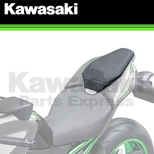 NEW 2025 GENUINE KAWASAKI Z900 ABS SE PASSENGER SEAT GRAY+GRAY 99994-2256-77J