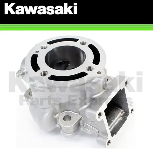 NEW GENUINE 2002 - 2026 KX 65 KX65 OEM KAWASAKI CYLINDER 11005-1973