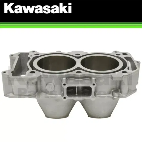 NEW 2020-2023 OEM KAWASAKI TERYX KRX1000 KRX 1000 ENGINE CYLINDER 11005-0695