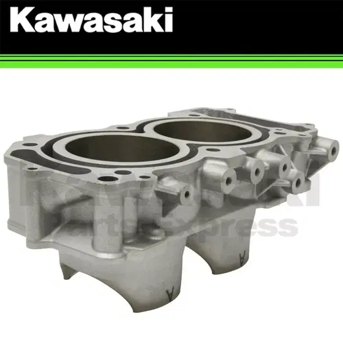 NEW 2020-2023 OEM KAWASAKI TERYX KRX1000 KRX 1000 ENGINE CYLINDER 11005-0695