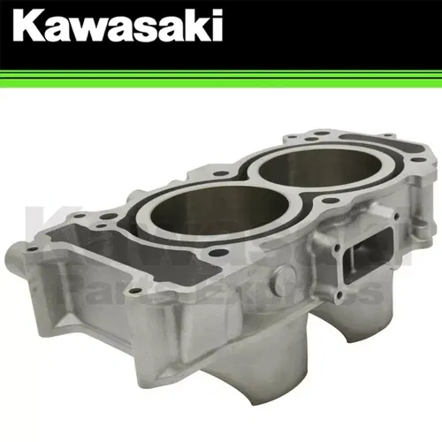 NEW 2020-2023 OEM KAWASAKI TERYX KRX1000 KRX 1000 ENGINE CYLINDER 11005-0695