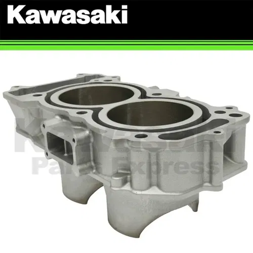 NEW 2020-2023 OEM KAWASAKI TERYX KRX1000 KRX 1000 ENGINE CYLINDER 11005-0695
