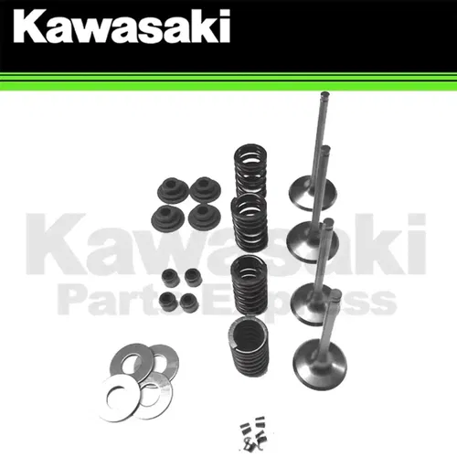 NEW 2009 - 2015 GENUINE KAWASAKI KX450F KX 450 F OEM VALVE KIT REPLACEMENT