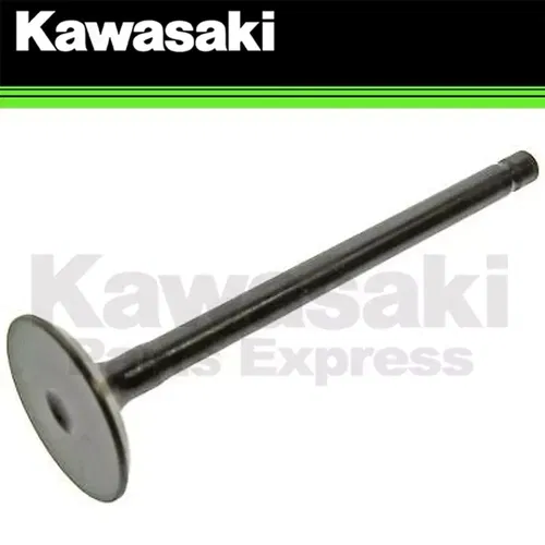 NEW 2002-2025 GENUINE OEM KAWASAKI KLX110 EXHAUST VALVE KLX 110 R L 12005-0713