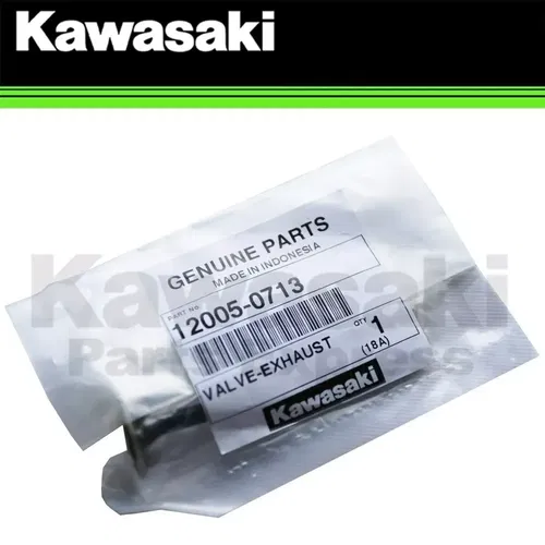 NEW 2002-2025 GENUINE OEM KAWASAKI KLX110 EXHAUST VALVE KLX 110 R L 12005-0713