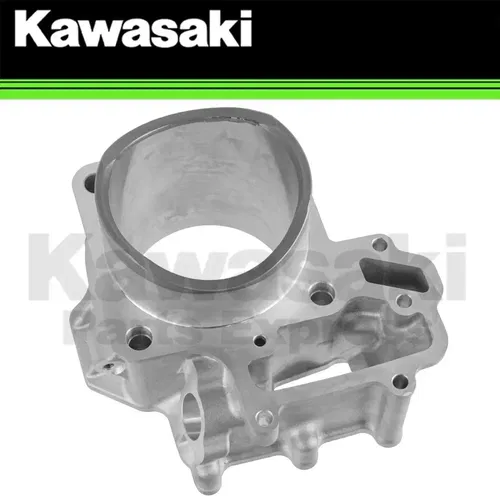 NEW 2014 - 2023 GENUINE KAWASAKI TERYX TERYX4 FR ENGINE CYLINDER 11005-0628