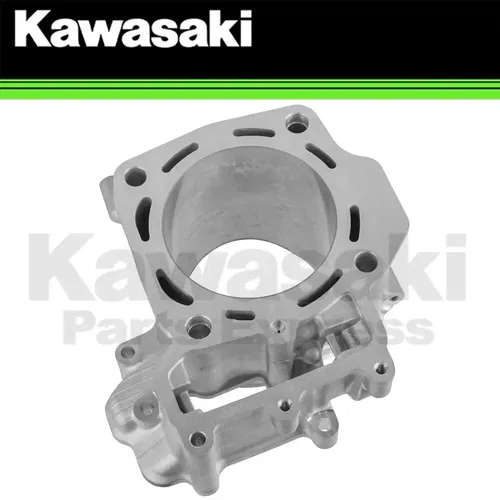 NEW 2014 - 2023 GENUINE KAWASAKI TERYX TERYX4 FR ENGINE CYLINDER 11005-0628
