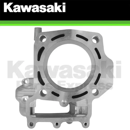 NEW 2014 - 2023 GENUINE KAWASAKI TERYX TERYX4 FR ENGINE CYLINDER 11005-0628
