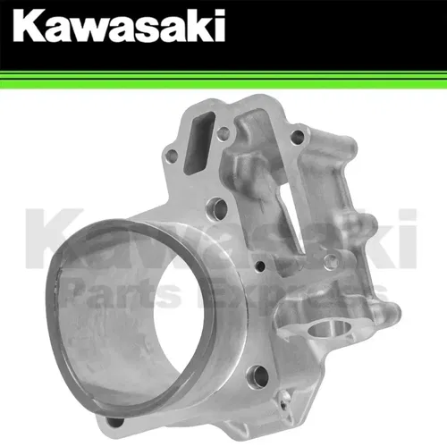 NEW 2014 - 2023 GENUINE KAWASAKI TERYX TERYX4 FR ENGINE CYLINDER 11005-0628