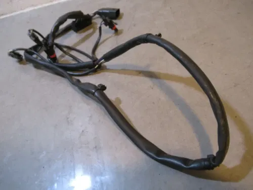 Arctic Cat M1000 Hood Harness 2007 #4