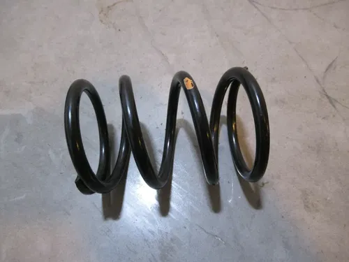 Yamaha RX1 Clutch Spring 2003 #5