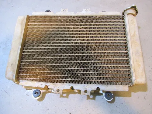Yamaha Kodiak 450 4x4 Radiator 2006