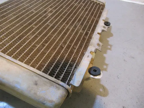 Yamaha Kodiak 450 4x4 Radiator 2006