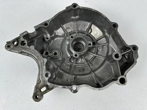 2006 - 2022 yamaha ttr50e Ignition Cover Stator Engine Generator