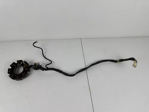 2006 - 2022 yamaha ttr50e OEM Stator Magneto Ignition Generator