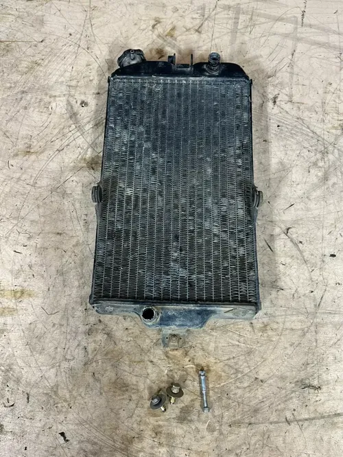 1987 Quadzilla Suzuki LT500R Radiator W/Mounting Hardware
