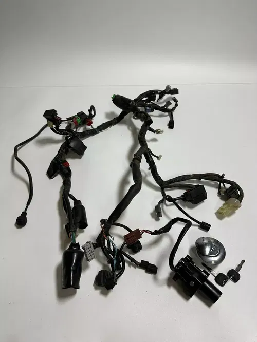 Honda CRF 250L 2017 Wire Harness Loom Complete Tested NO CDI