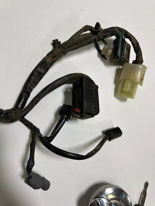 Honda CRF 250L 2017 Wire Harness Loom Complete Tested NO CDI