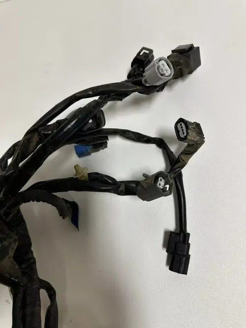 Honda CRF 250L 2017 Wire Harness Loom Complete Tested NO CDI