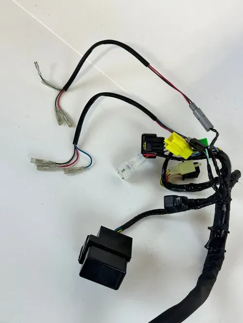 2021 Suzuki DRZ 400SM Main Wiring Harness with Tail light/blinkers Flash Relay