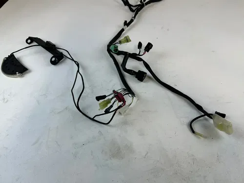 2021 Suzuki DRZ 400SM Main Wiring Harness with Tail light/blinkers Flash Relay