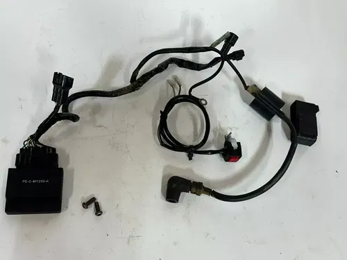 2002 Yamaha YZ250 OEM Harness With Blackbox  CDI  & Kill Switch