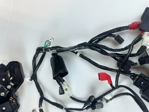 2025 HONDA CRF 110F OEM Stock COMPLETE Harness Battery & Box & CDI 0HR NEW!