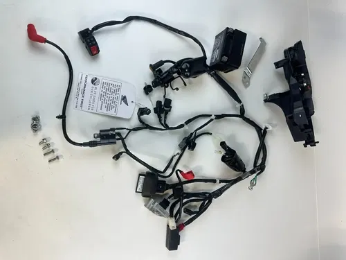2025 HONDA CRF 110F OEM Stock COMPLETE Harness Battery & Box & CDI 0HR NEW!