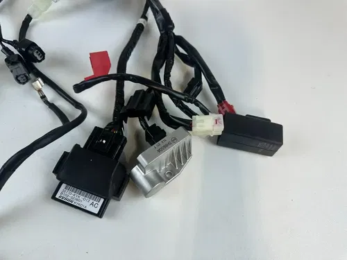 2025 HONDA CRF 110F OEM Stock COMPLETE Harness Battery & Box & CDI 0HR NEW!