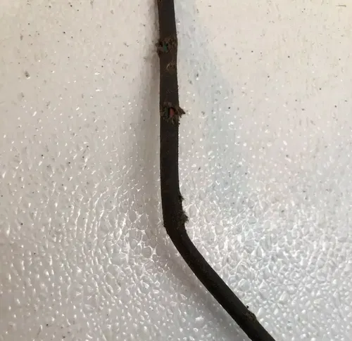 OEM Suzuki 2009 LTR450 Gear Position Neutral Switch Sensor LTR 450 37730-45G10