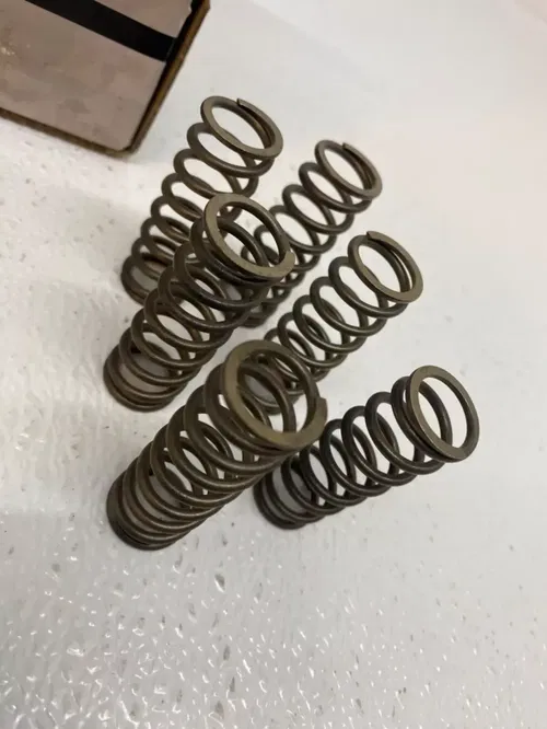 Hinson Racing High Performance FSC Clutch Plate Spring Kit HONDA 17-20 CRF450R