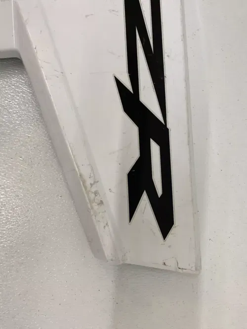 Polaris RZR 200 Drivers Door Plastic Skin LH Left L OEM RZR200 UTV White USED