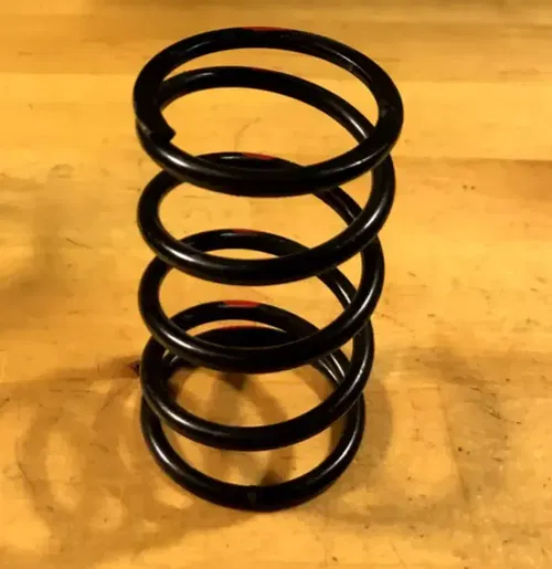OEM POLARIS CLUTCH BLACK SPRING RZR W RED DOTS