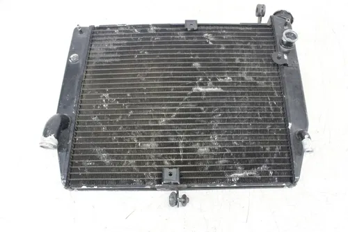 02-03 YAMAHA YZF R1 ENGINE RADIATOR MOTOR COOLER COOLING RADIATER