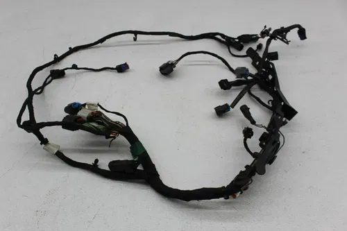 18-20 HARLEY-DAVIDSON STREET BOB FXBB 107 MAIN ENGINE MOTOR WIRE WIRING HARNESS