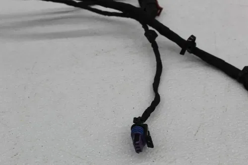18-20 HARLEY-DAVIDSON STREET BOB FXBB 107 MAIN ENGINE MOTOR WIRE WIRING HARNESS
