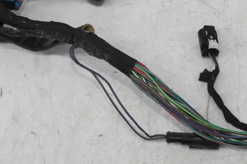 21-25 HARLEY-DAVIDSON STREET BOB FXBBS SOFTAIL ENGINE MOTOR SUB WIRING HARNESS