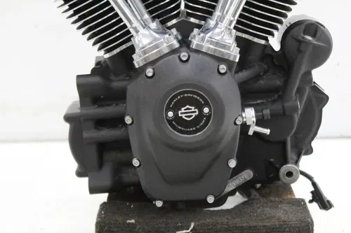 18-24 HARLEY-DAVIDSON SOFTAIL FXLRS 114CI ENGINE MOTOR *RUNNER* *53 MILES*