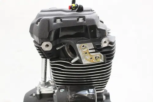 18-24 HARLEY-DAVIDSON SOFTAIL FXLRS 114CI ENGINE MOTOR *RUNNER* *53 MILES*