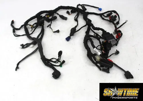 24-25 TRIUMPH SPEED 400 MAIN ENGINE WIRING HARNESS MOTOR WIRE LOOM