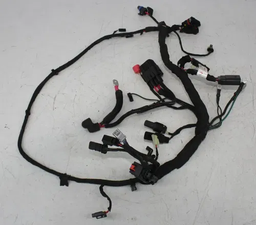 18-24 HARLEY-DAVIDSON STREET BOB SOFTAIL FXBBS MAIN ENGINE MOTOR WIRING HARNESS