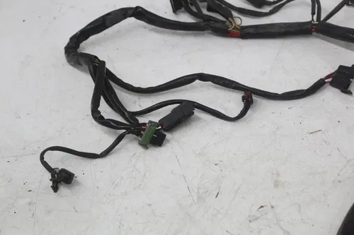 00-06 Harley-davidson Softail Deuce Efi Fxstdi Main Engine Wiring Harness Motor