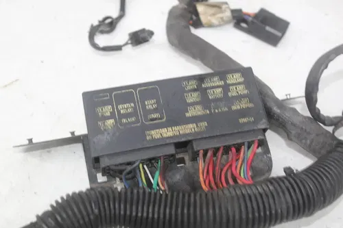00-06 Harley-davidson Softail Deuce Efi Fxstdi Main Engine Wiring Harness Motor