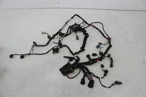 18-21 DUCATI PANIGALE V4 SPECIALE ENGINE SUB WIRING HARNESS WIRE LOOM
